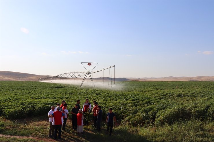 Şanlıurfa'daki üreticiler, anlık ulaştıkları ziraatçıların reçetesiyle bahçelerindeki sorunu çözüyor