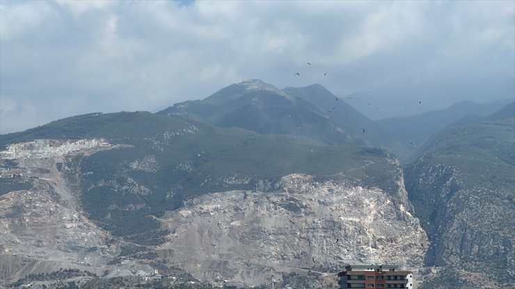 Hatay'da binlerce leyleğin göç uçuşunu vatandaşlar merakla izledi