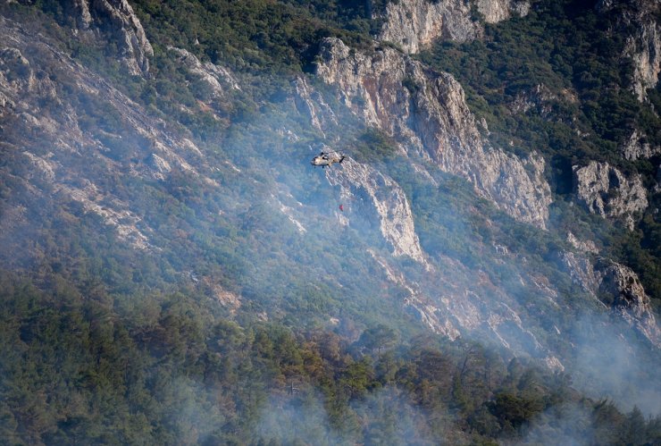 İzmir'in Menderes ilçesindeki orman yangınına müdahale sürüyor