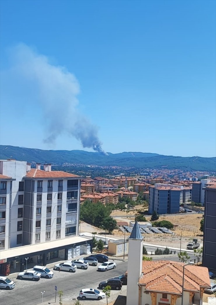 Muğla'nın Menteşe ve Yatağan ilçelerinde orman yangını çıktı