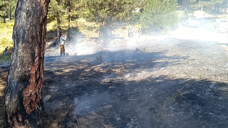 Bilecik'te çıkan orman yangını söndürüldü