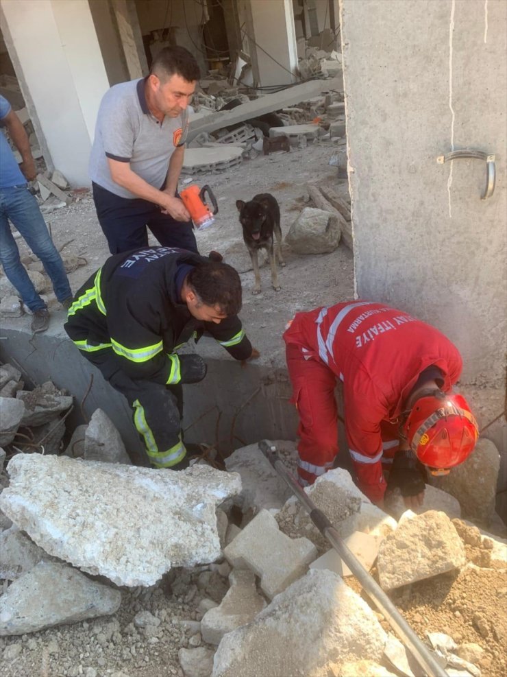 Hatay'da hasarlı evin yıkıntısında mahsur kalan 5 köpek yavrusu kurtarıldı