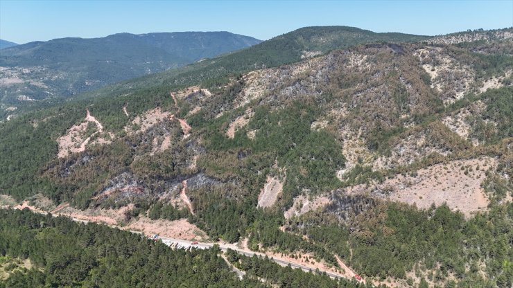 Karabük'te orman yangınında zarar gören alanlar havadan görüntülendi