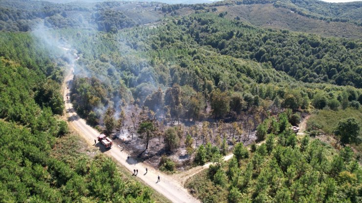 Sakarya'da ormanlık alana sıçrayan yangın kontrol altına alındı