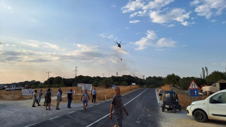 Edirne'de çıkan orman yangını söndürüldü