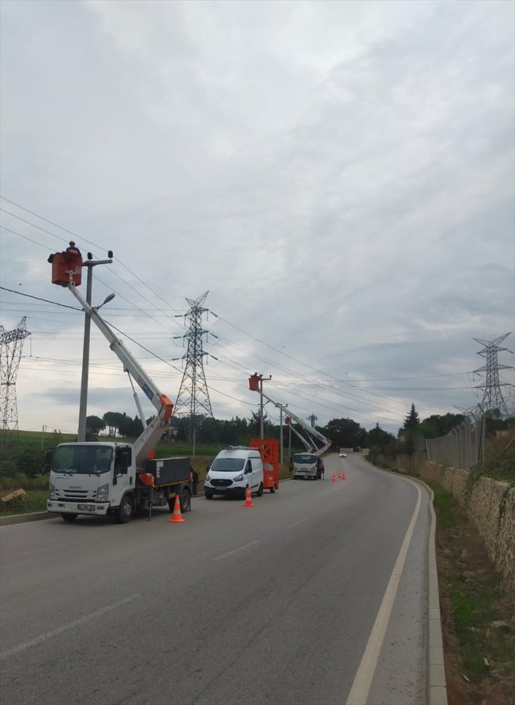 SEDAŞ, leyleklerin güvenli yolculuğu için Kocaeli'de harekete geçti