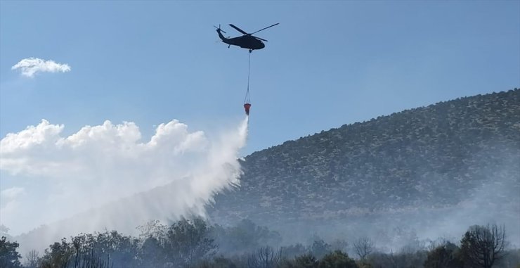 Isparta'da çıkan orman yangınına müdahale ediliyor