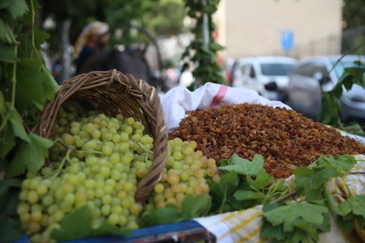 Manisa'da sezonun ilk çekirdeksiz kuru üzüm alımı törenle başladı