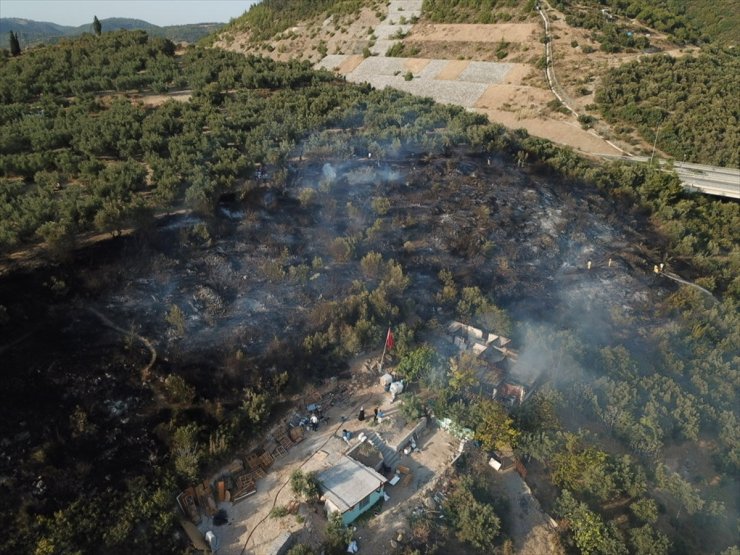 Bursa'da barakadan zeytinliğe sıçrayan yangın söndürüldü