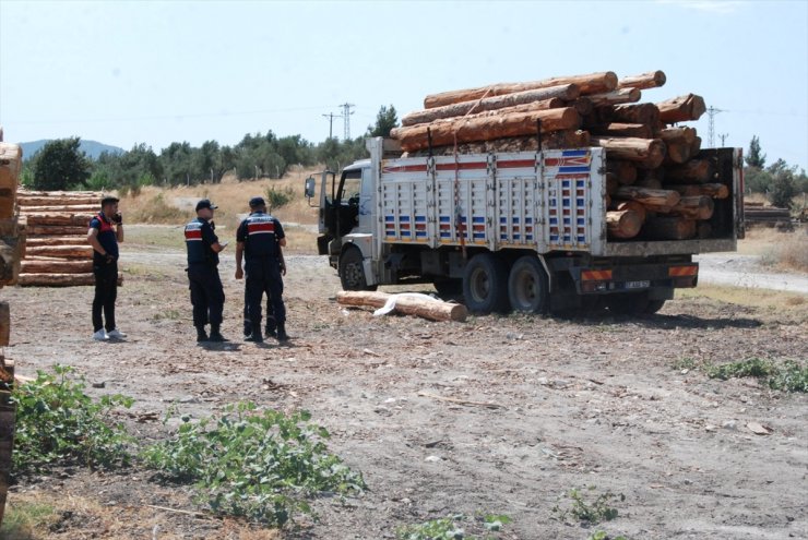 Çanakkale'de üzerine tomruk düşen sürücü öldü