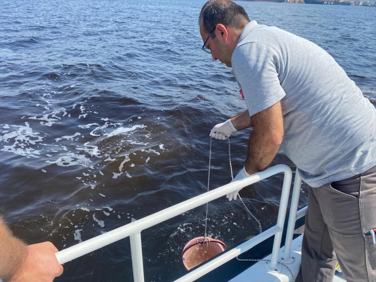 Çevre, Şehircilik ve İklim Değişikliği Bakanlığından İzmir Körfezi'ndeki balık ölümlerine ilişkin inceleme