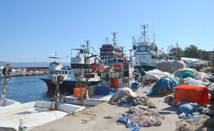 Sakarya ve Kocaeli'de balıkçılar yeni sezonda palamutta bolluk bekliyor