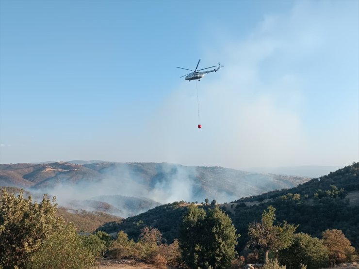 Uşak'ta iki noktada çıkan yangınlara müdahale ediliyor