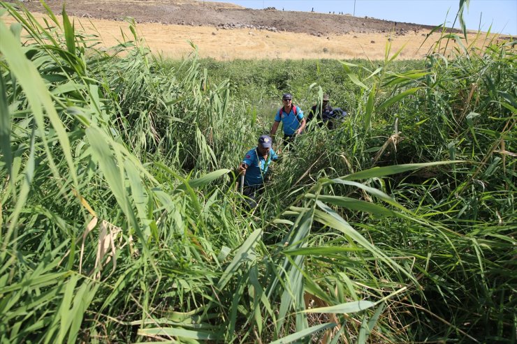 Diyarbakır'da kaybolan 8 yaşındaki Narin'i arama çalışmaları sürüyor