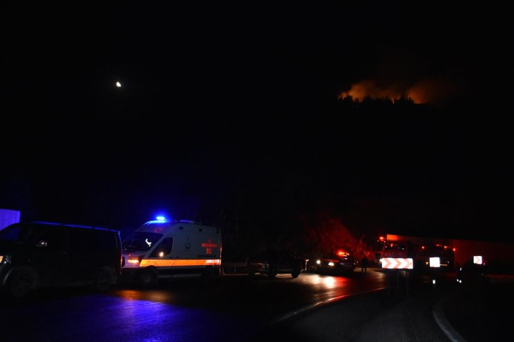 İzmir Kemalpaşa'da çıkan orman yangını kontrol altına alındı