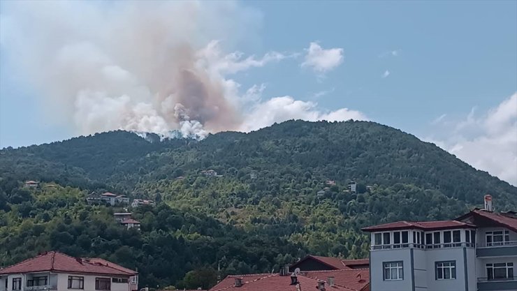 Zonguldak'ta ormanlık alanda çıkan yangın kontrol altına alındı