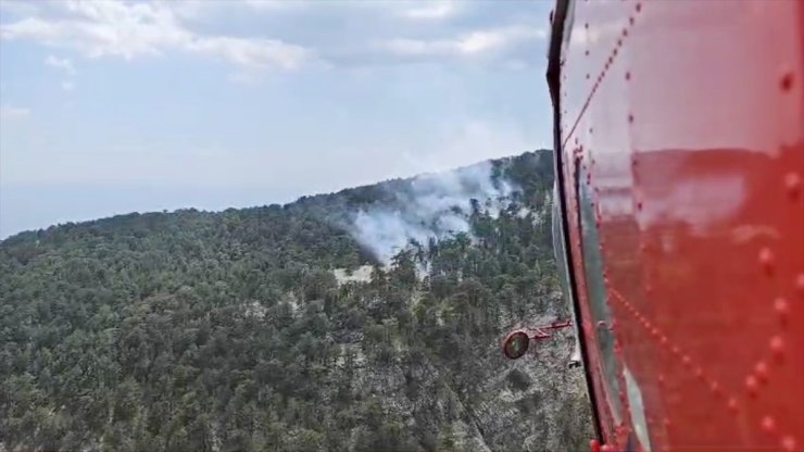 Kazdağları Milli Parkı'nda çıkan yangına müdahale ediliyor