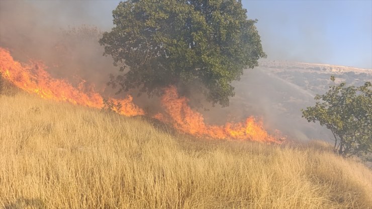 Tunceli'de otluk alanda çıkan yangın söndürüldü