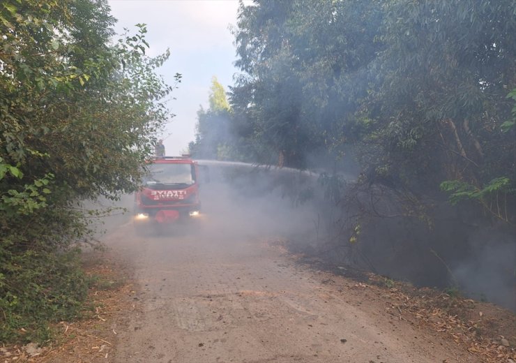 Osmaniye'deki orman yangını kontrol altına alındı