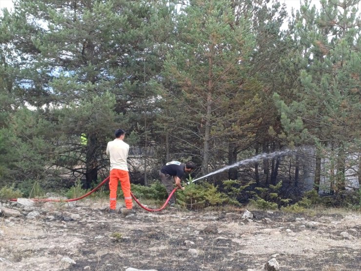 Bolu'da ormanlık alanda çıkan yangın söndürüldü