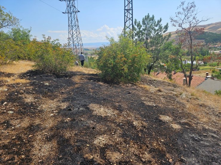 Çorum'da ormanlık alanda çıkan yangın büyümeden söndürüldü