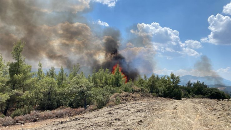 Muğla'da çıkan orman yangını söndürüldü