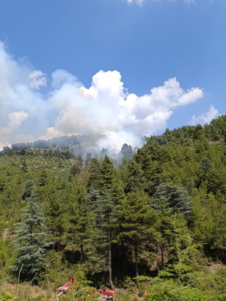 Burdur'da çıkan orman yangını söndürüldü