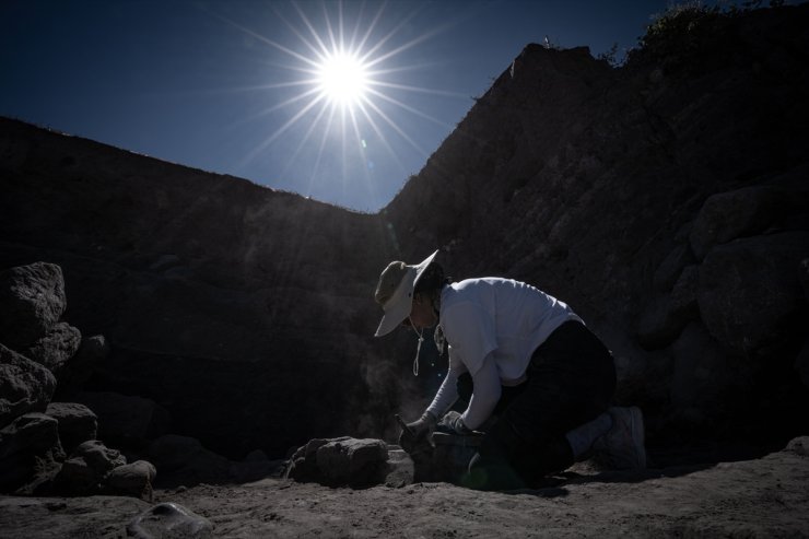 Değirmenler Höyük'te yapılan kazılarda 6 bin yıl eskiye dayanan yerleşim tespit edildi