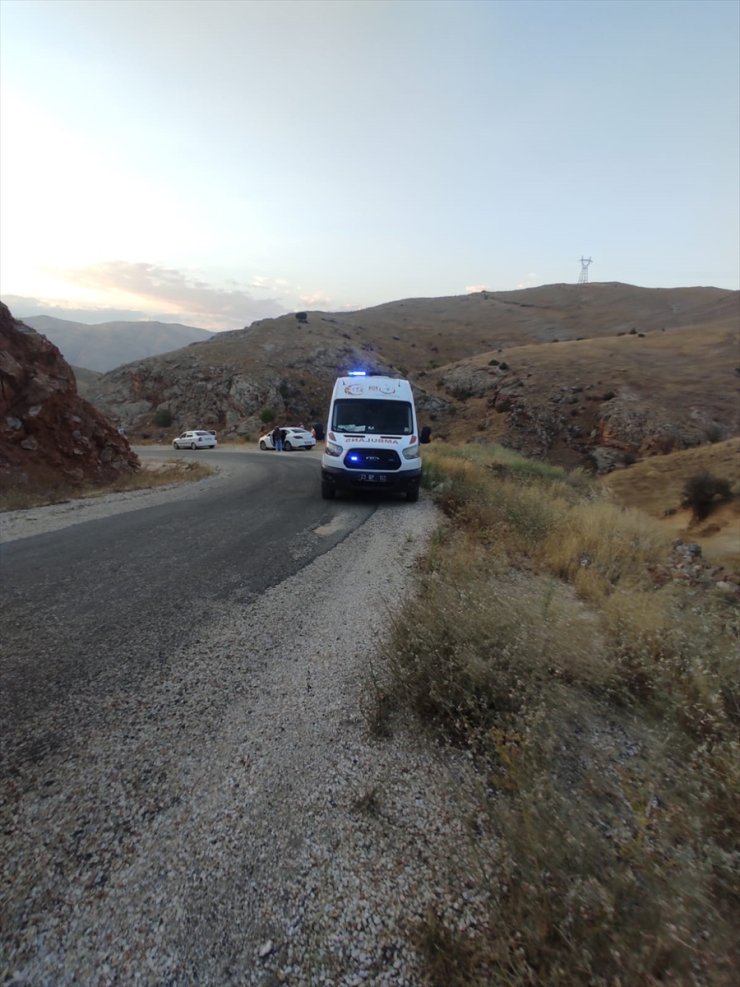 Elazığ'da freni boşalan otomobilden atlayan kadın yaralandı