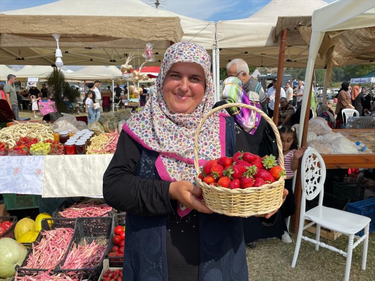 Sakarya'da Çilek Festivali düzenlendi