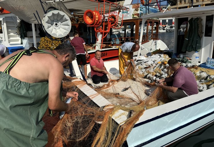 Sinop'ta, balıkçıklar ilk gün limana 500 kasa palamutla döndü