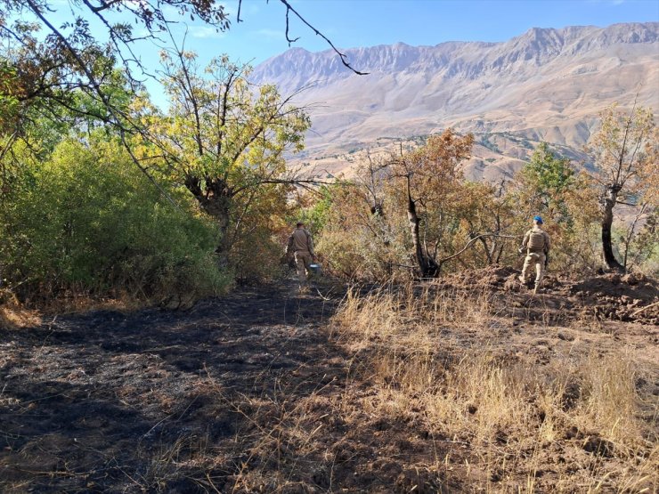 GÜNCELLEME - Tunceli'de ormanlık alanlarda çıkan yangınlar söndürüldü