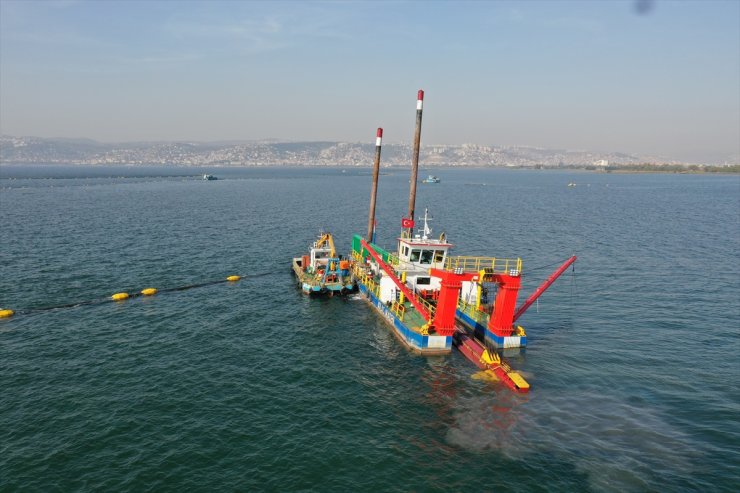 İzmit Körfezi'ne yapılan çevre yatırımlarıyla kirlilik azaldı, balık popülasyonu ve biyoçeşitlilik arttı