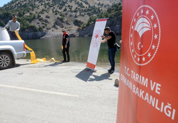 Kars'ta 1 milyon 680 bin sazan yavrusu su kaynaklarına bırakılmaya başlandı