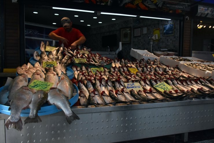 Palamut tezgahları süsledi, fiyatlar yarıya düştü