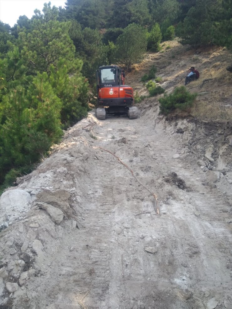 Afyonkarahisar'da eğimli arazide yuvarlanan inek, 1,5 kilometrelik yol açılarak kurtarıldı