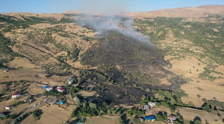 Elazığ'da ormanlık alanda çıkan yangın söndürüldü