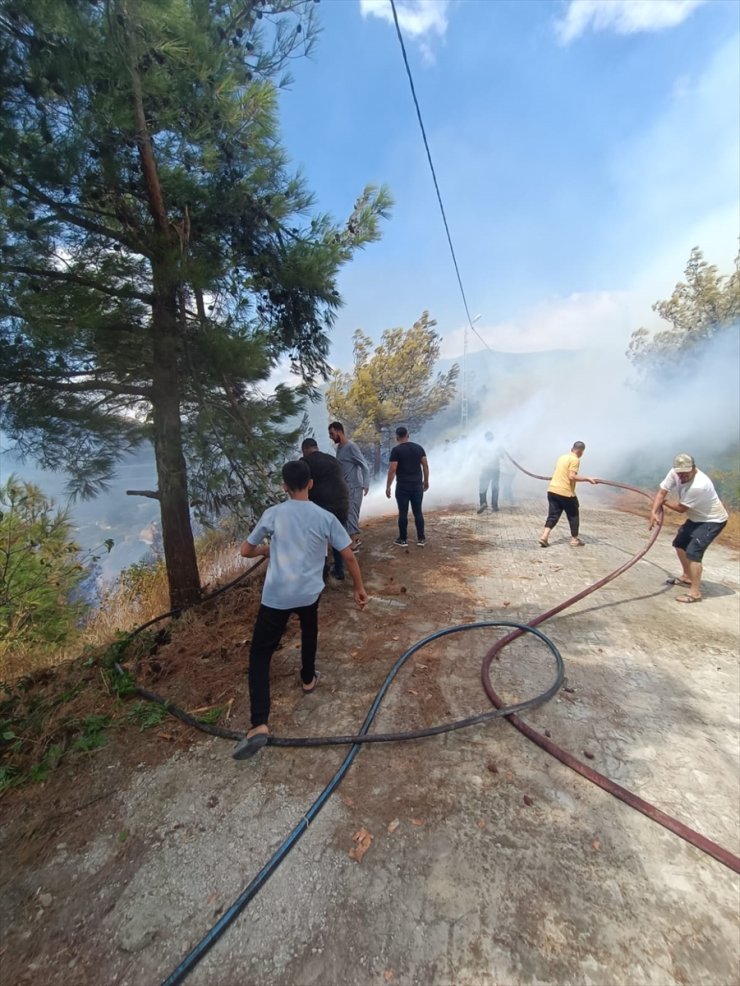 Hatay'da çıkan orman yangını söndürüldü