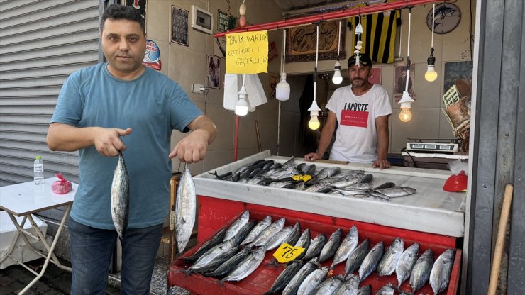 Zonguldak'ta deniz av sezonu palamut bereketiyle başladı