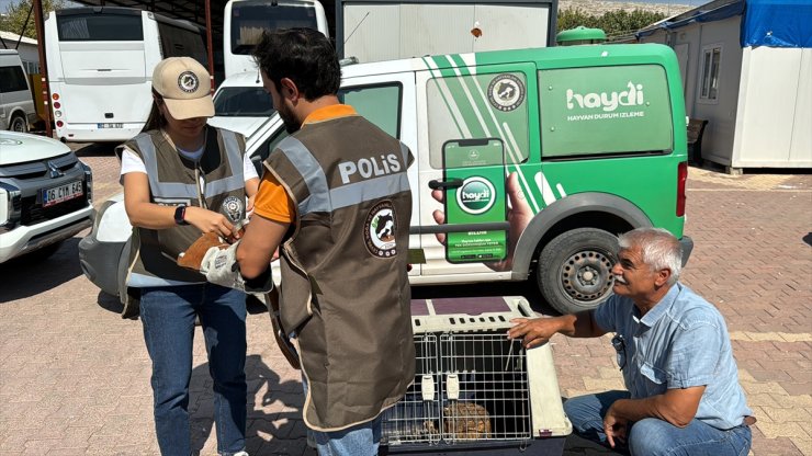 Adıyaman'da evinde izinsiz doğan besleyen kişiye 113 bin 980 lira para cezası kesildi