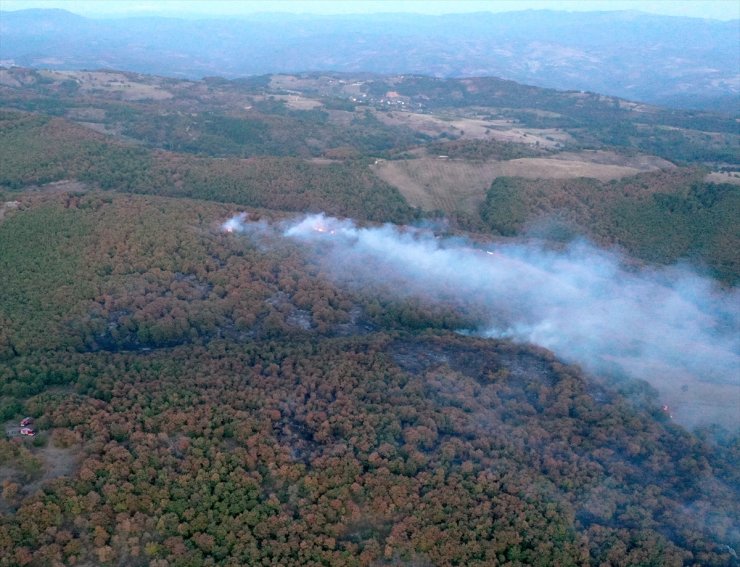 Kocaeli'de çıkan orman yangını kontrol altına alındı