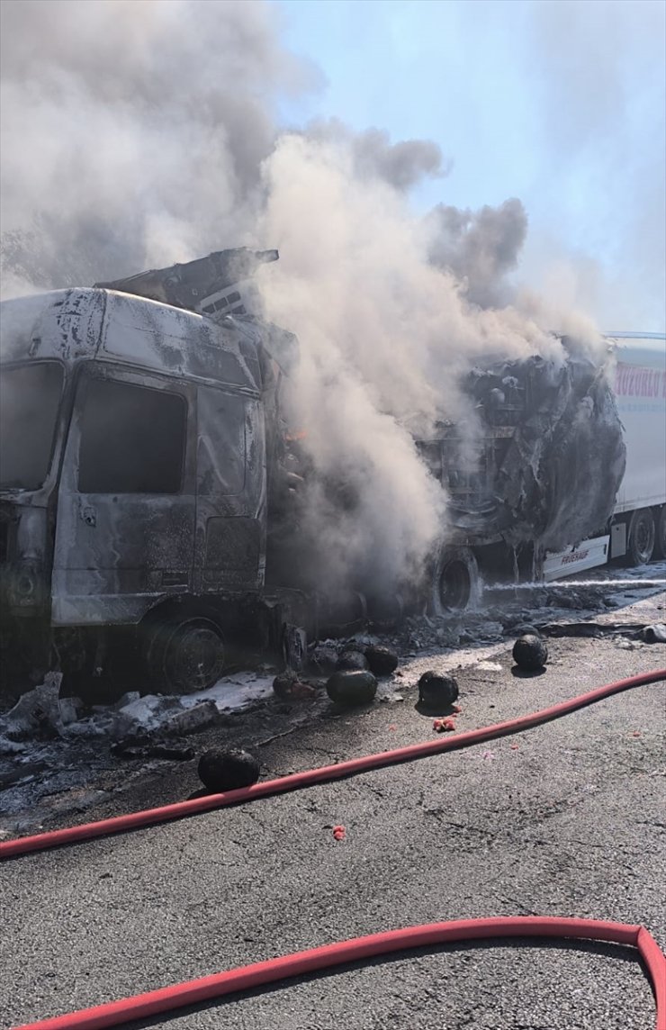 Mersin'de tırda çıkan ve ağaçlık alana sıçrayan yangın söndürüldü