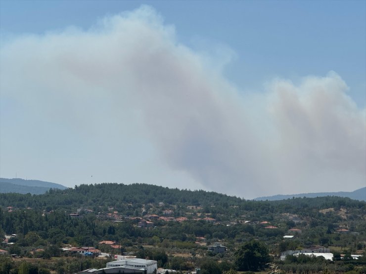 Muğla'da çıkan orman yangınına müdahale ediliyor