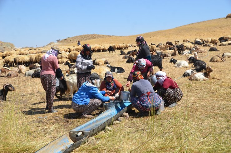 Yüksekova'da berivanlar yaptıkları ürünleri satarak aile bütçelerine katkıda bulunuyor