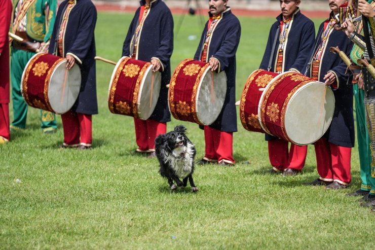 743. Söğüt Ertuğrul Gazi'yi Anma ve Yörük Şenlikleri