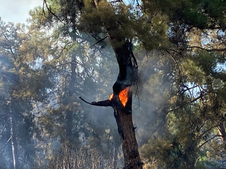 GÜNCELLEME 2 - Antalya'nın Kaş ilçesinde çıkan orman yangını kontrol altına alındı