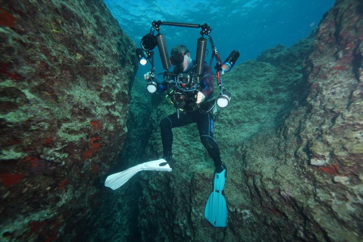 Su altı fotoğrafçıları Akdeniz'in derinliklerindeki güzellikleri görüntülemek için dalıyor