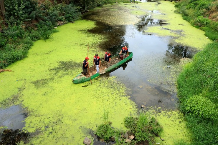 Tarihi rıhtımın ortaya çıkarılması için akış yönü değiştirilen Tunca Nehri'nde balığa rastlanmadı