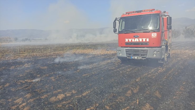 Tokat'ta çıkan anız yangınında 25 dönümlük alan zarar gördü