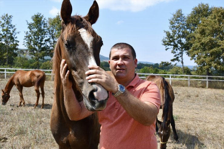 Bilecik'te hara kuran girişimci, yarış atı yetiştiriyor